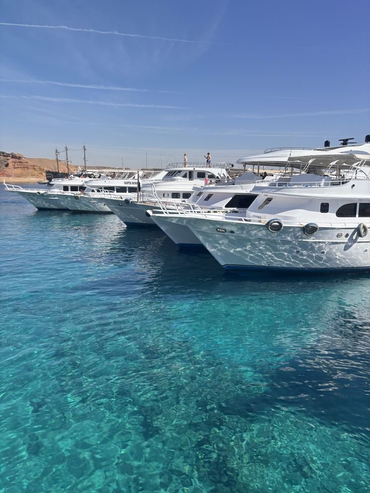Marsa Mubarak Snorkeling Tour from Port Ghalib